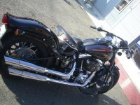 コピー ～ CIMG5224