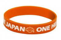 wristband_image_S
